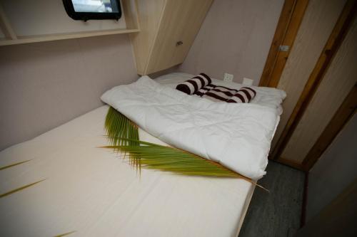 Una cama en una habitación pequeña con una planta. en Odyssey of sunny side, en Male