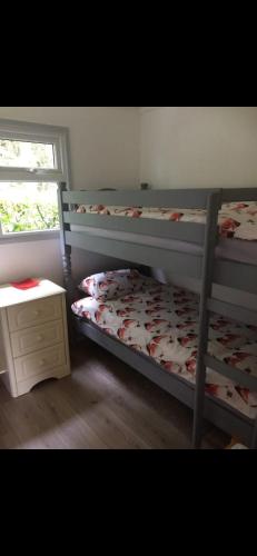 a bedroom with two bunk beds and a window at Leigh’s Lodge in Colyford