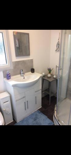 a bathroom with a white sink and a shower at Leigh’s Lodge in Colyford