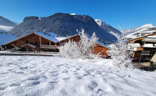 Photo de la galerie de l'établissement Les Chalets du Petit Châtel, à Châtel