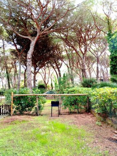 a park with a fence and a bench and trees at Casa Ricciola in Principina a Mare
