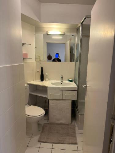 une salle de bain avec toilettes, lavabo et miroir dans l'établissement Studio Paris Bastille, à Paris