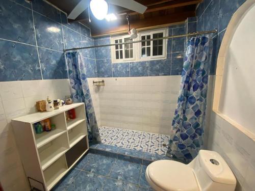 y baño con aseo y ducha. en Cabañita Doña Tina, en Los Altos de Cerro Azul