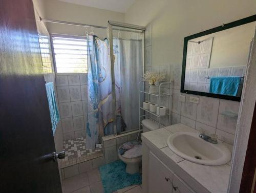 a bathroom with a sink and a toilet and a shower at Montserrat Mountain View Retreat in Cudjoe Head
