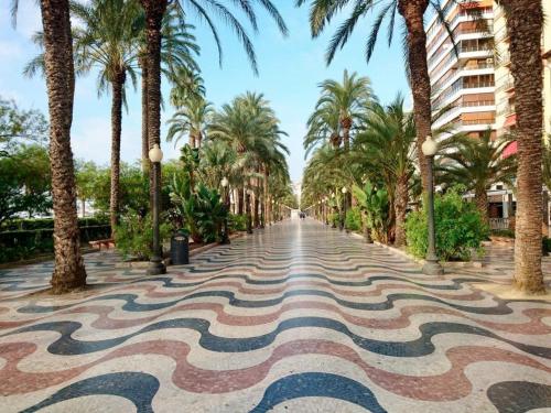 une rue avec des palmiers et un trottoir dans l'établissement Quiet room in Alicante SmartTV, à Alicante