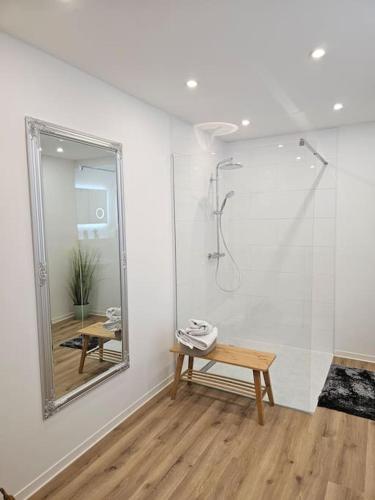 a bathroom with a shower and a bench and a mirror at Die Alte Apotheke _ Apartment Nr.2 in Baiersbronn