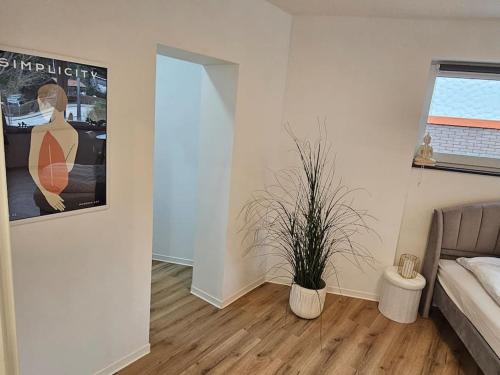 a living room with a couch and a potted plant at Die Alte Apotheke _ Apartment Nr.2 in Baiersbronn
