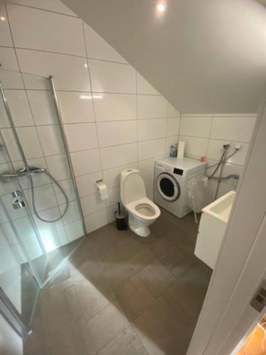 a small bathroom with a toilet and a sink at Cozy Apartment Close To Central Station in Gothenburg