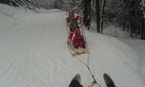 a man pulling two children on a sled in the snow at Pension Lípa in Horní Maršov