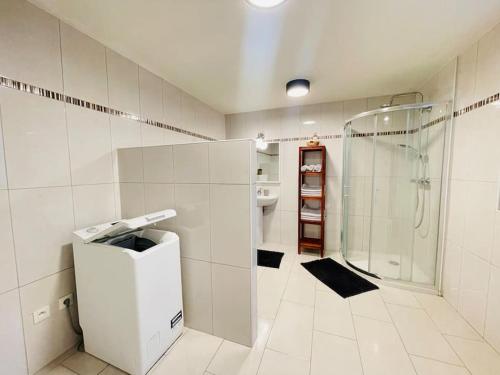 a white bathroom with a shower and a sink at Le gîte d'Emma in Sainte-Croix-en-Plaine