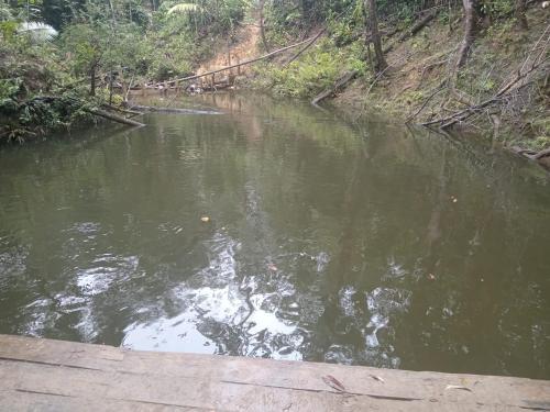 a body of water next to a river with trees at Los cocos Hostal in Bazán