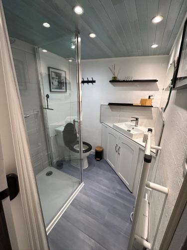 une salle de bain avec une douche, des toilettes et un lavabo dans l'établissement Maison dans la magnifique village de Montjoi, à Monjoi