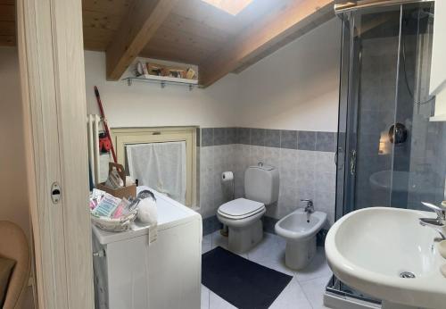 a bathroom with a toilet and a sink and a shower at Residenza Golese in Parma