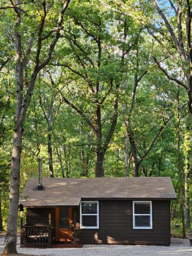 een kleine hut in het bos met bomen bij Bennettscape Tiny Cabin in Lebanon