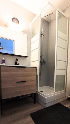 La salle de bains est pourvue d'une douche et d'une commode avec un miroir. dans l'établissement La voile au Lamparo - T2 climatisé - parking, à Port-Leucate