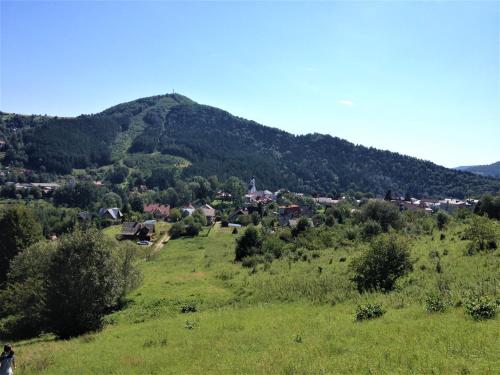a small town in a field with a mountain at Dom z Widokiem in Piwniczna