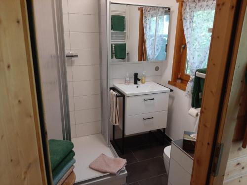 ein kleines Bad mit einem Waschbecken und einer Dusche in der Unterkunft Ferienhaus Obert - Drognitz in Drognitz
