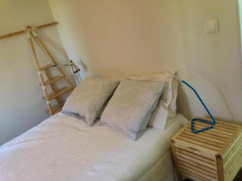 Bourg-le-Comte的住宿－Appartement d'une chambre avec wifi a Bourg le Comte，一间卧室配有一张带枕头和梯子的床