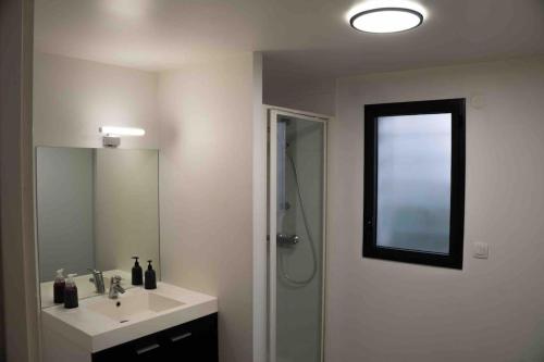 une salle de bain avec un lavabo et une douche avec un miroir dans l'établissement Studio cosy/Parking/Jardin, à Toulouse