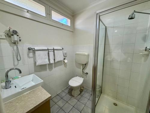 a bathroom with a toilet and a sink and a shower at High Street Motel in Echuca