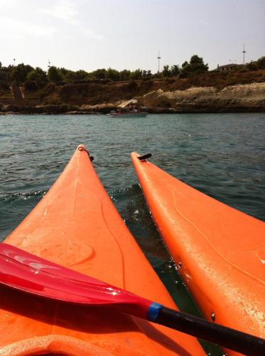 Φυσικό τοπίο κοντά σε αυτό το κατάλυμα σε φάρμα
