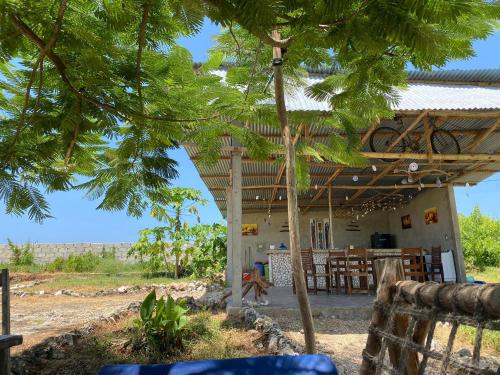 Habibis Bottle House