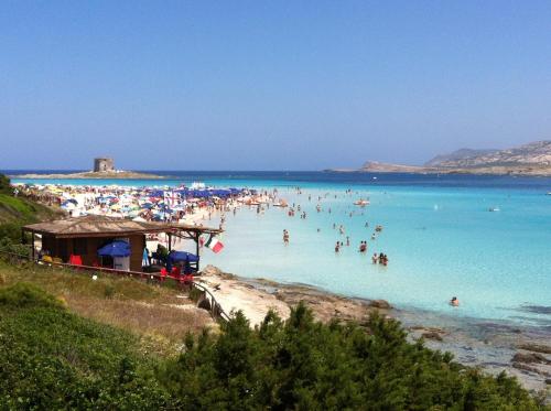 Φυσικό τοπίο κοντά σε αυτό το κατάλυμα σε φάρμα