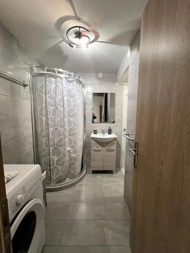 a bathroom with a shower and a sink and a washing machine at Letty's cozy flat apartment in Perea