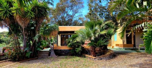 a house with palm trees in front of it at L'Oasi di Recale in Scauri