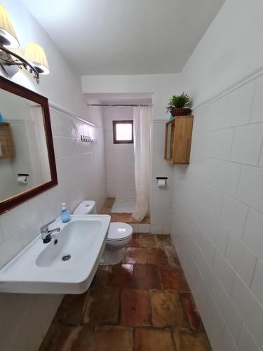 a bathroom with a sink and a toilet and a mirror at El Cabezo de la Torre in Cieza