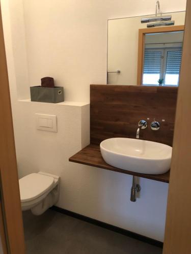 a bathroom with a sink and a toilet and a mirror at Pension Am Römerhof in Münzenberg