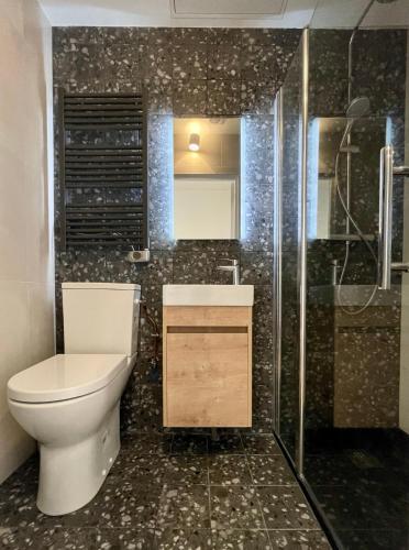 une salle de bain avec toilettes et douche dans l'établissement Appartement dans une maison cosy, à Chartres