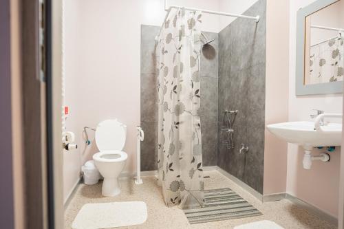 a bathroom with a toilet and a shower curtain at Mazurek - pokoje do wynajęcia in Duszniki Zdrój