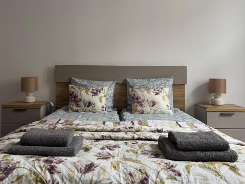 1 dormitorio con 2 camas con almohadas en Sophie Apartment, en Poznan
