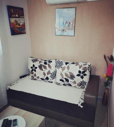 a couch in a living room with a pillow at Apartmani Djordjevic in Veliko Gradište