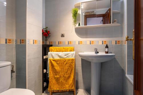 uma casa de banho com um lavatório e um WC em Apartamento Balcón de Liérganes em Liérganes