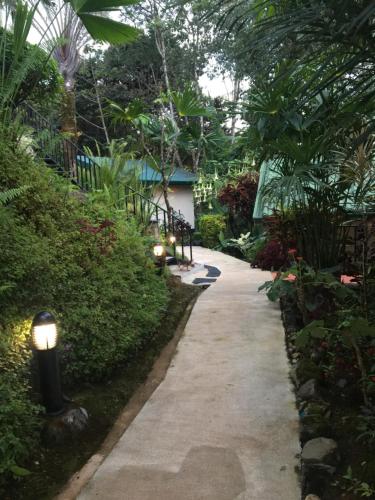 a walkway in a garden with plants and lights at Mango Tree Villas in Coronado