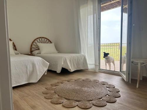 a room with a dog looking out the door at Casa Caraza. Un olivar con vistas al castillo de Juego de Tronos in Almodóvar del Río