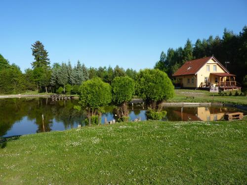 een huis naast een vijver in een tuin bij Dom nad stawem in Żywki