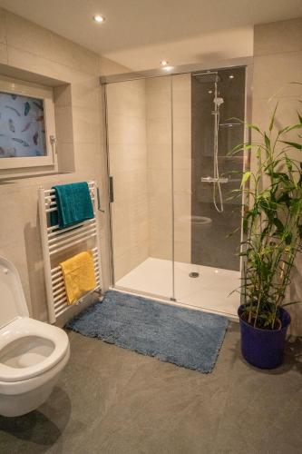 a bathroom with a shower with a toilet and a sink at Ferienwohnug Weissl in Matrei am Brenner