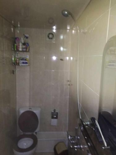 a bathroom with a shower with a toilet and a sink at Guest House Dodo in Kazbegi