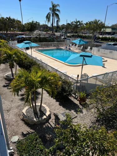 a swimming pool with palm trees and umbrellas at Lantern Inn & Suites - Sarasota in Sarasota
