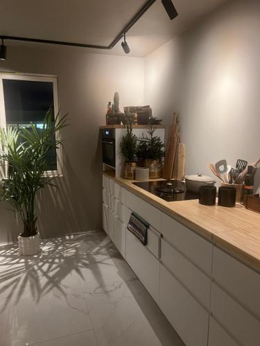 una cocina con encimera con plantas. en Sentral leilighet i Trondheim, en Trondheim