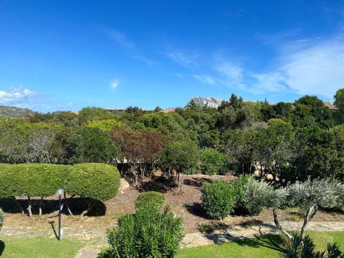 Un paisaje natural cerca del apartahotel