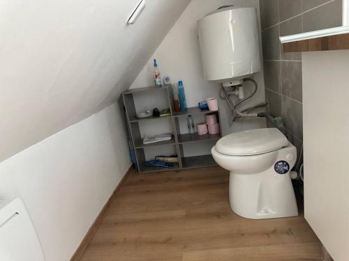 ein Badezimmer mit einem weißen WC im Dachgeschoss in der Unterkunft Studio Lumineux proche Paris et Orly in Savigny-sur-Orge