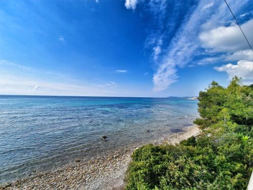 a view of a beach with trees and the water at LOUTRA VILLAS in Agia Paraskevi