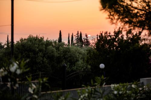 a sunset over a garden with trees and bushes at 4RosesVillas in Litochoro
