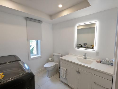 a bathroom with a toilet and a sink and a mirror at Riverview Cottage in Laval