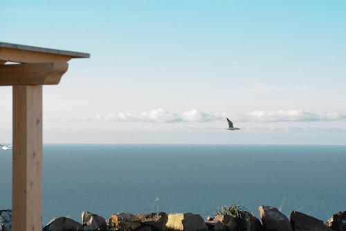 a bird flying in the sky over the ocean at NEW SUITES SEA VIEW SARDINIA, Bedda Ista in Castelsardo