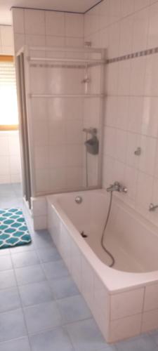 Ferienwohnung Geier في Schöfweg: حمام مع حوض استحمام مع دش